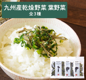 九州産乾燥野菜（葉野菜3種）　3袋セット