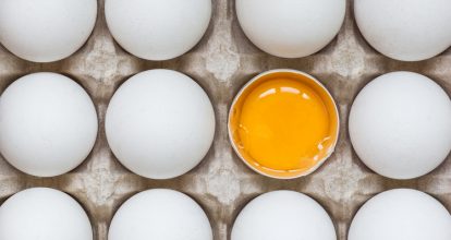 黒卵黄油とは 効果 効能やおすすめ商品をご紹介